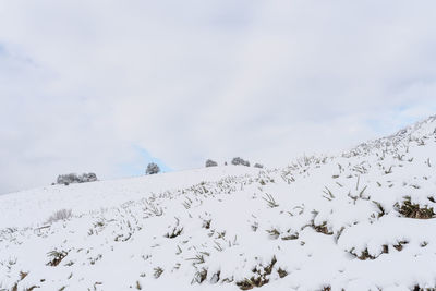 Flock of birds on snow covered landscape against sky