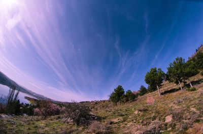 Scenic view of grassy field against blue sky