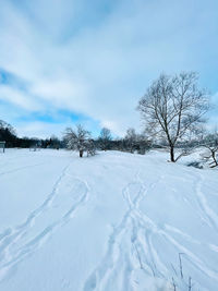 Bare trees on snow covered field against sky