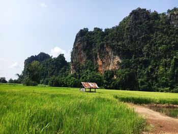 View of agricultural field against clear sky