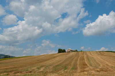 Scenic view of agricultural field against sky