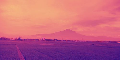 Scenic view of landscape against sky during sunset