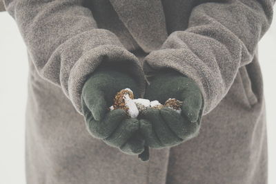 Midsection of woman holding pine cones with snow