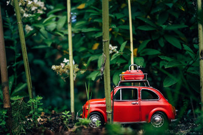 Red christmas tree in car