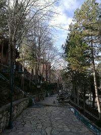 Footpath amidst trees and buildings against sky