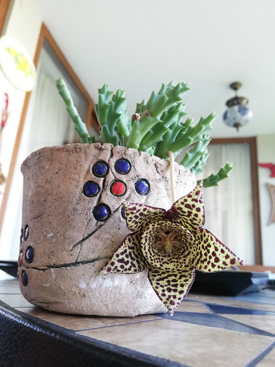 CLOSE-UP OF PAINTING ON TABLE AGAINST PLANTS