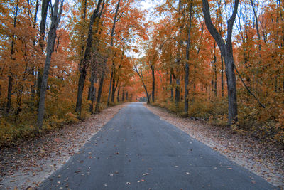 Road amidst trees in forest