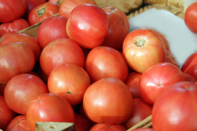 Close-up of tomatoes for sale at market