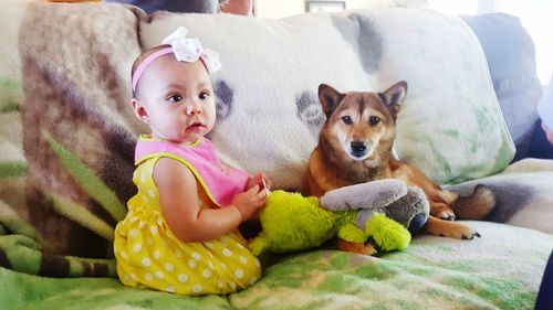 Portrait of cute dog sitting on sofa