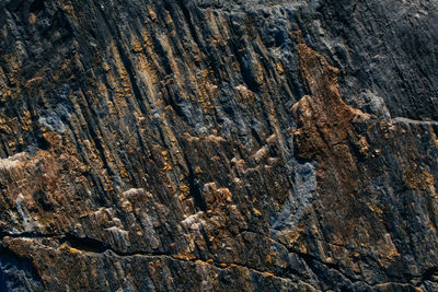 Full frame shot of rock