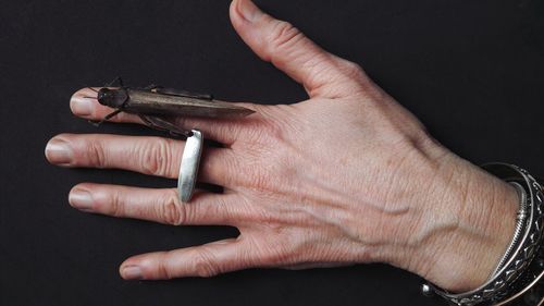 Close-up of hand holding cigarette against black background