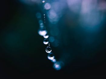 Close-up of water drop on leaf