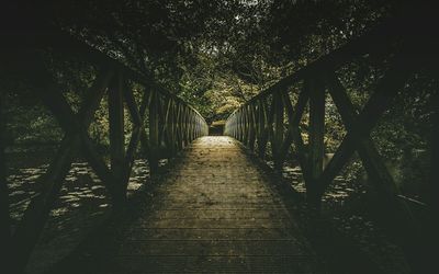 Footbridge amidst trees in forest