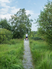 Rear view of man walking on footpath