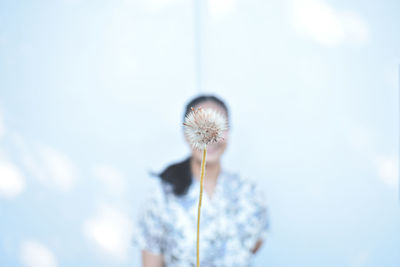 Close-up of dandelion flower against sky