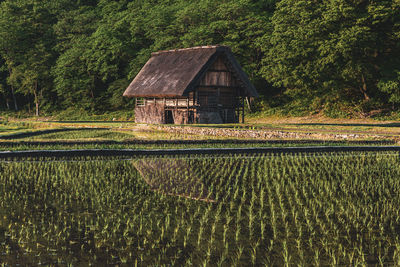 Scenic view of farm against trees and plants