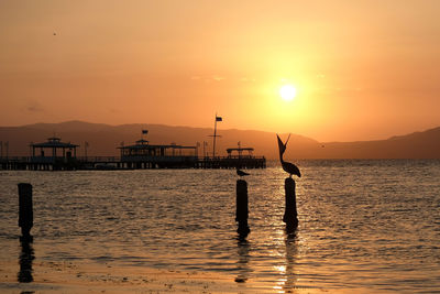 Silhouette wooden posts in sea against sky during sunset