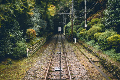 Railroad tracks in forest