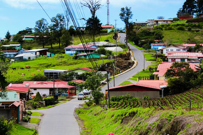 High angle view of road amidst trees and buildings