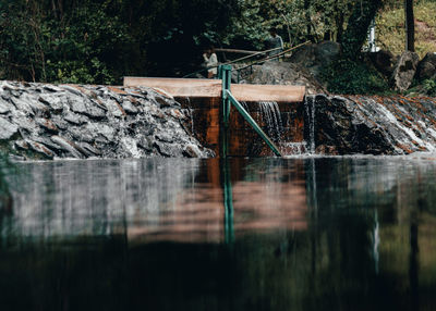 Scenic view of lake in forest