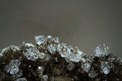 Close-up of rock against sky