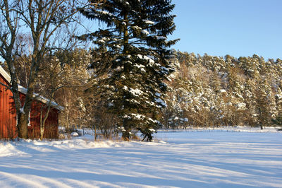 Scenic view of snow covered landscape