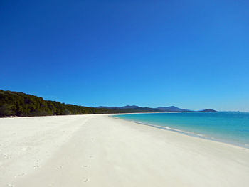 Scenic view of beach against clear blue sky