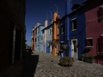 Potted plants on street amidst buildings