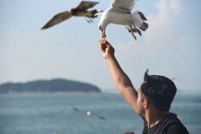 Low angle view of seagull flying over sea against sky