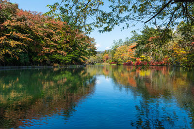 Scenic view of lake against sky during autumn