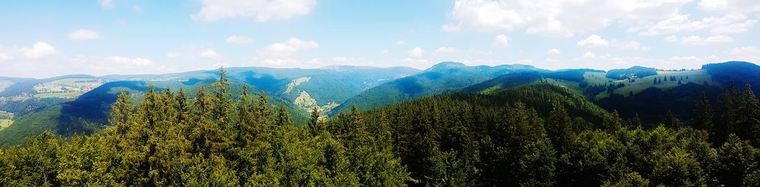 Panoramic view of forest against sky