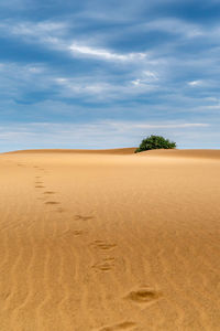 Scenic view of desert against sky