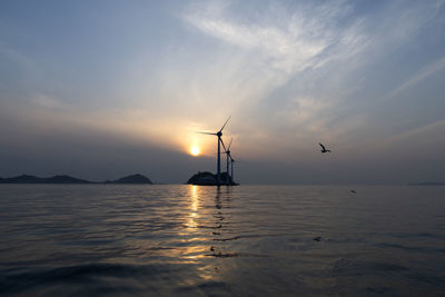 Silhouette birds on sea against sky during sunset