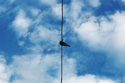 Low angle view of street light against sky