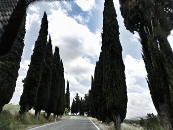 Empty road with trees in background