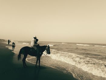 People on horse at beach against clear sky