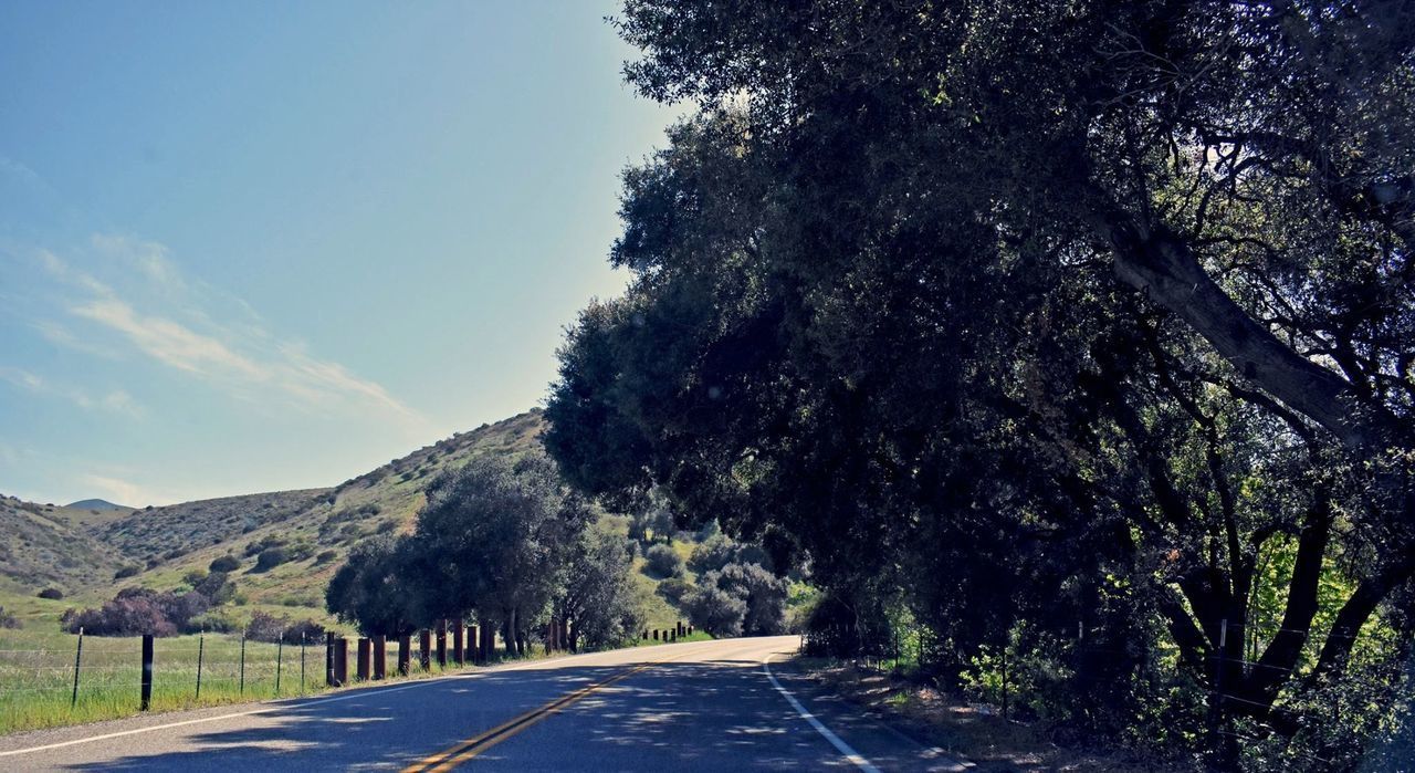 ROAD BY TREES ON MOUNTAIN AGAINST SKY