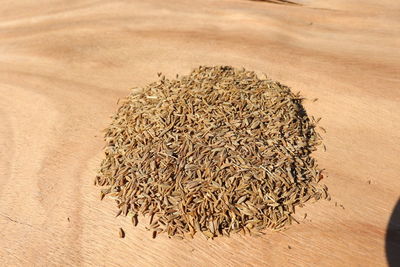 High angle view of dried plant on wood