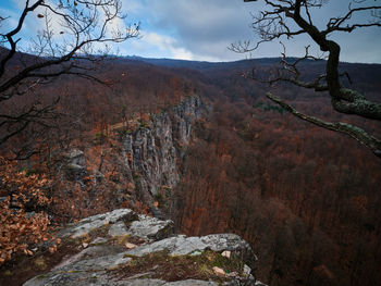 Top view of climbing rock and forest in autumn, hradok pod vtacnikom, slovakia