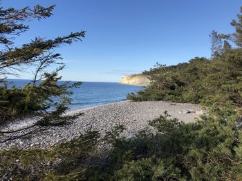 Scenic view of sea against clear blue sky