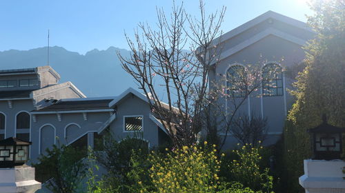 Plants and buildings against sky