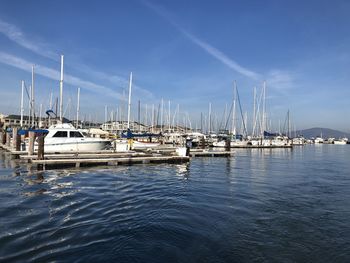 Sailboats in marina