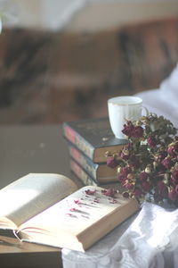 Close-up of potted plant on table
