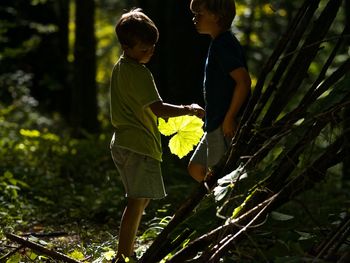 Rear view of boy and plants against trees