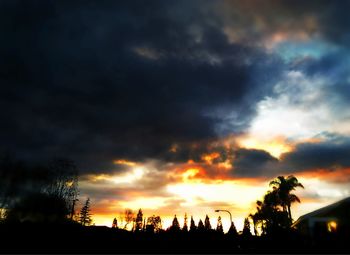 Silhouette of trees at sunset