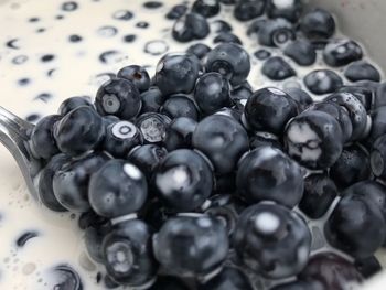 Close-up of berries on table