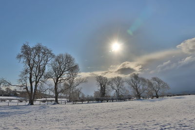 Snowy landscape of fields and trees looking towards the sun with clouds in the blue sky 