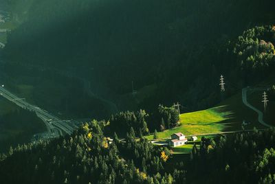 High angle view of trees on mountain