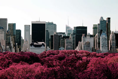 Rare view of nyc skyline from central park in color infrared