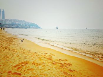 Scenic view of beach against clear sky